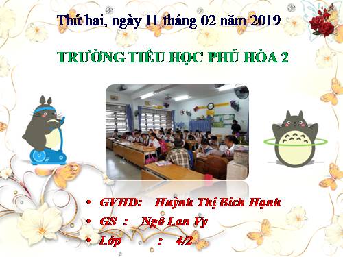 Tuần 23. Hoa học trò