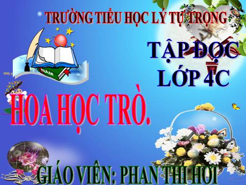 Tuần 23. Hoa học trò