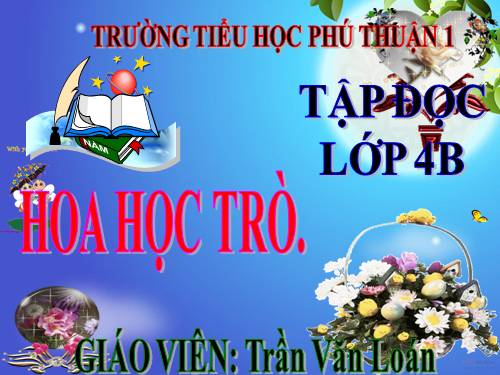 Tuần 23. Hoa học trò