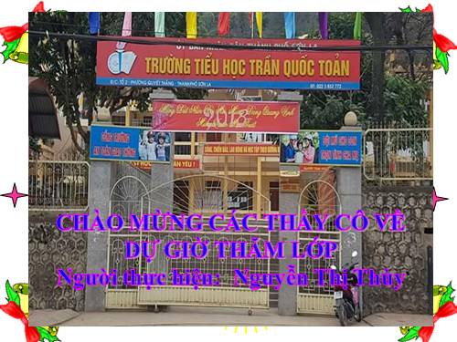 Tuần 23. Hoa học trò