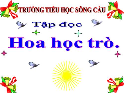 Tuần 23. Hoa học trò