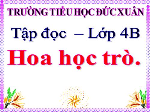 Tuần 23. Hoa học trò