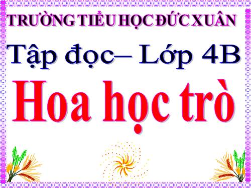 Tuần 23. Hoa học trò