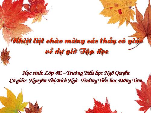 Tuần 17. Rất nhiều mặt trăng