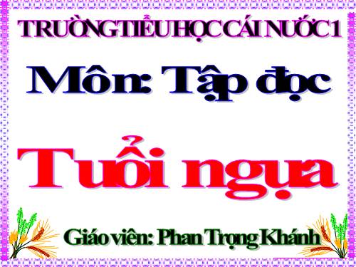 Tuần 15. Tuổi Ngựa