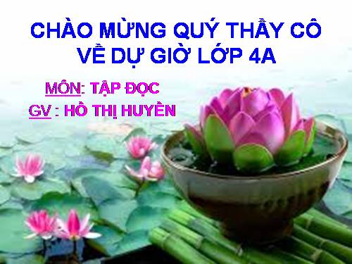 Tuần 15. Tuổi Ngựa