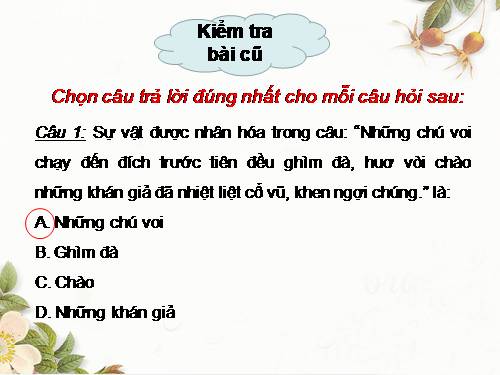 Tuần 26. MRVT: Lễ hội. Dấu phẩy