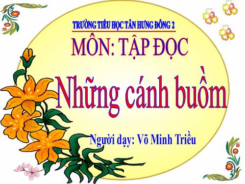 Tuần 32. Những cánh buồm