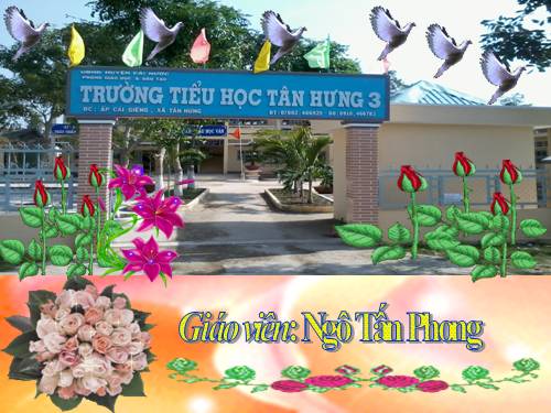 Tuần 31. Bầm ơi