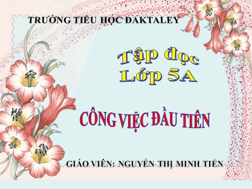 Tuần 31. Công việc đầu tiên