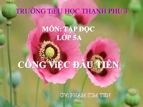 Tuần 31. Công việc đầu tiên