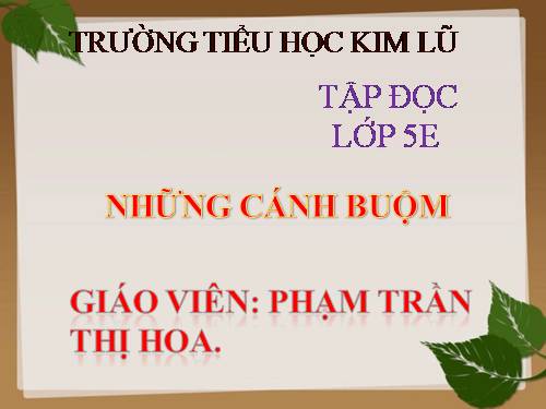 Tuần 32. Những cánh buồm