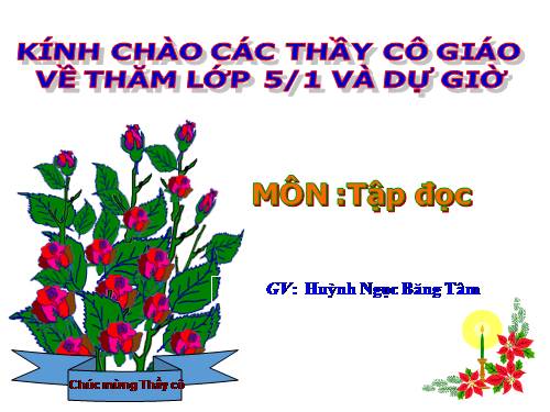 Tuần 13. Người gác rừng tí hon