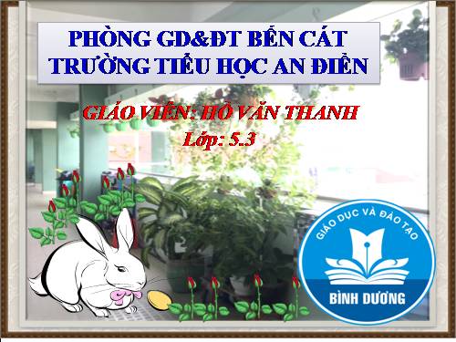 Tuần 32. Những cánh buồm