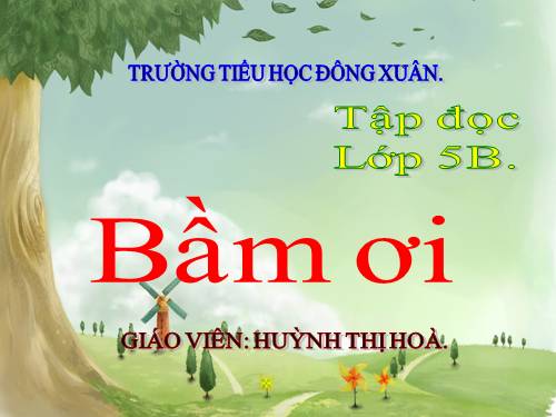 Tuần 31. Bầm ơi