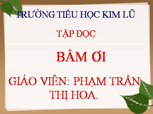 Tuần 31. Bầm ơi