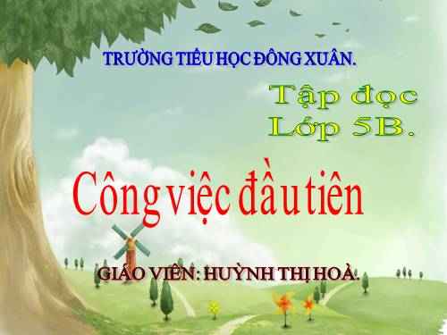 Tuần 31. Công việc đầu tiên