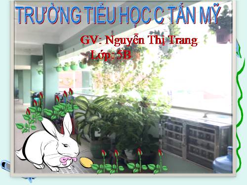 Tuần 30. Tà áo dài Việt Nam