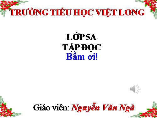 Tuần 31. Bầm ơi