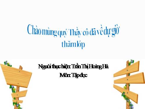 Tuần 29. Một vụ đắm tàu