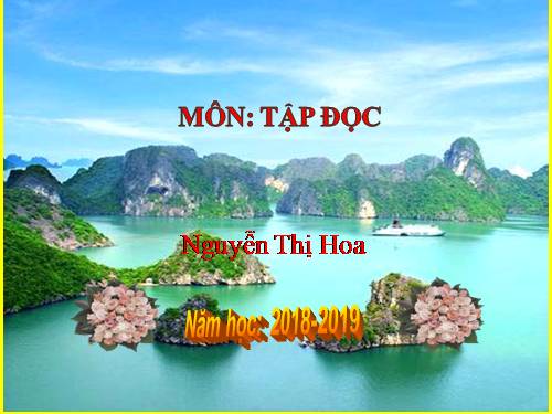 Tuần 29. Một vụ đắm tàu