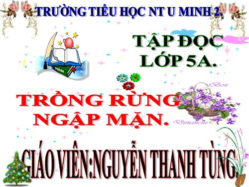 Tuần 13. Trồng rừng ngập mặn