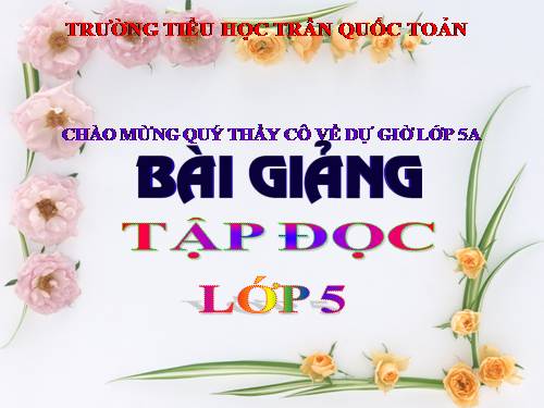 Tuần 12. Mùa thảo quả