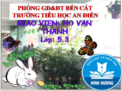 Tuần 30. Tà áo dài Việt Nam