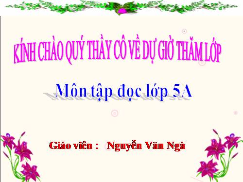 Tuần 25. Phong cảnh đền Hùng