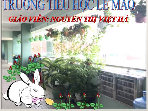 Tuần 19. Người công dân số Một (tiếp theo)