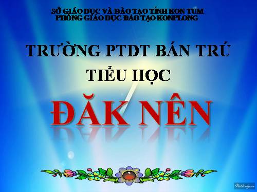 Tuần 31. Công việc đầu tiên