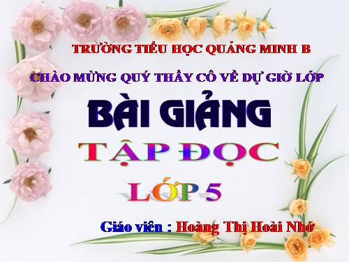 Tuần 12. Mùa thảo quả