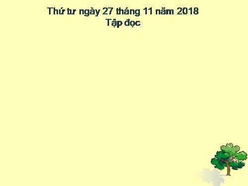 Tuần 13. Trồng rừng ngập mặn