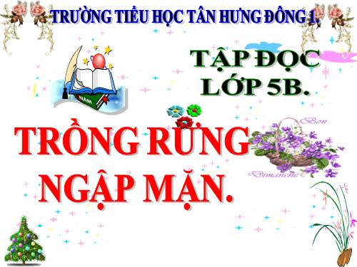 Tuần 13. Trồng rừng ngập mặn