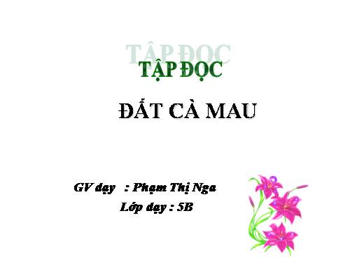 Tuần 9. Đất Cà Mau