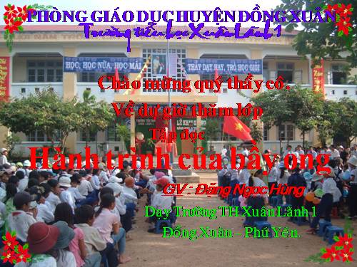 Tuần 12. Hành trình của bầy ong