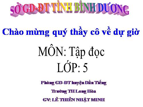 Tuần 12. Hành trình của bầy ong