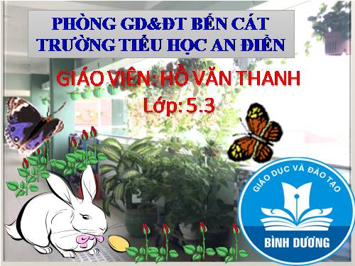 Tuần 12. Hành trình của bầy ong