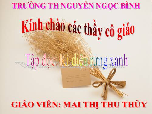 Tuần 8. Kì diệu rừng xanh