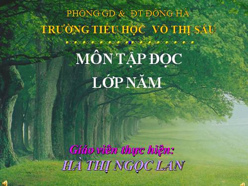 Tuần 30. Tà áo dài Việt Nam