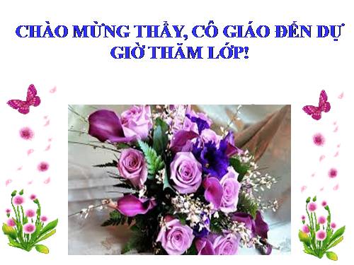 Bài 24. Việt Nam trong năm đầu sau thắng lợi của cuộc kháng chiến chống Mĩ, cứu nước năm 1975