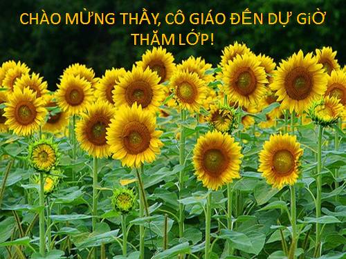 Bài 9. Quan hệ quốc tế trong và sau thời kì Chiến tranh lạnh