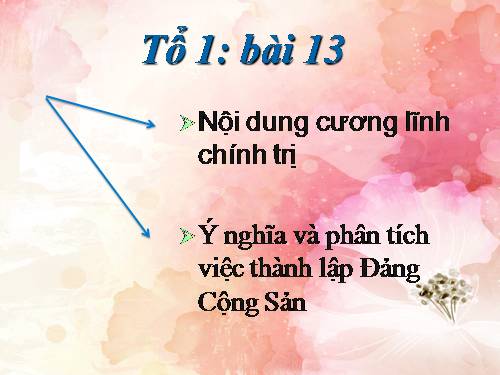 Bài 13. Phong trào dân tộc dân chủ ở Việt Nam từ năm 1925 đến năm 1930