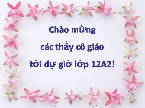 Bài 13. Phong trào dân tộc dân chủ ở Việt Nam từ năm 1925 đến năm 1930