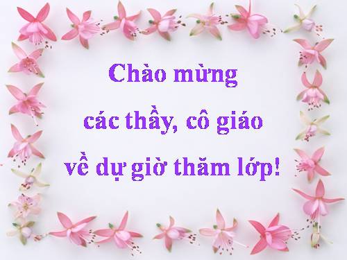 Bài 13. Phong trào dân tộc dân chủ ở Việt Nam từ năm 1925 đến năm 1930