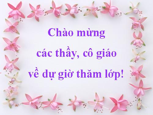 Bài 13. Phong trào dân tộc dân chủ ở Việt Nam từ năm 1925 đến năm 1930