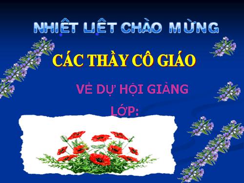 Bài 12. Phong trào dân tộc dân chủ ở Việt Nam từ năm 1919 đến năm 1925