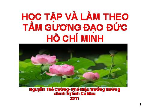 Học tập Bác Hồ  hè 2011