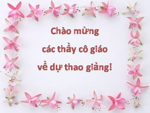 Bài 13. Phong trào dân tộc dân chủ ở Việt Nam từ năm 1925 đến năm 1930