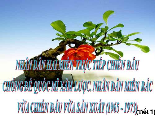 Bài 22. Nhân dân hai miền trực tiếp chiến đấu chống đế quốc Mĩ xâm lược. Nhân dân miền Bắc vừa chiến đấu vừa sản xuất (1965 - 1973)